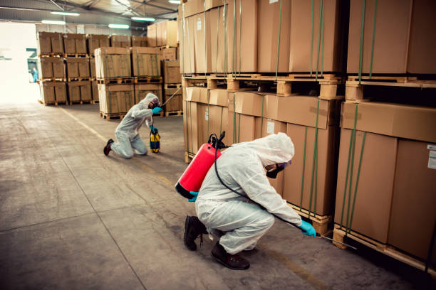 Best Emergency Pest Control  in Moundridge, KS
