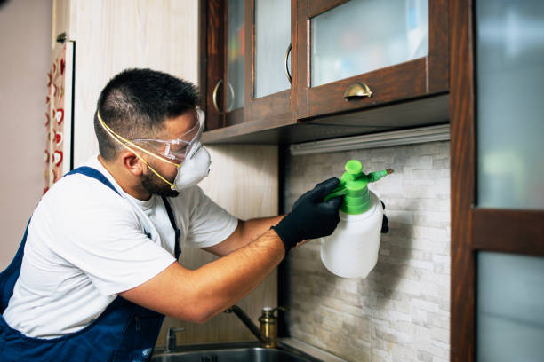 Best Exterminator Services  in Moundridge, KS