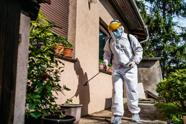 Best Mosquito Control Services  in Moundridge, KS