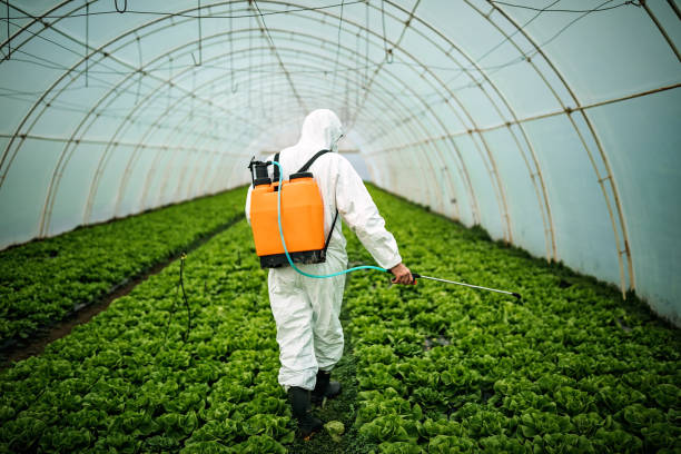 Best Best Pest Control Companies  in Moundridge, KS