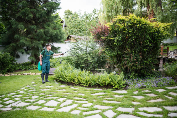 Best Pest Prevention Services  in Moundridge, KS