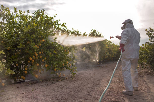 Best Cockroach Control Services  in Moundridge, KS