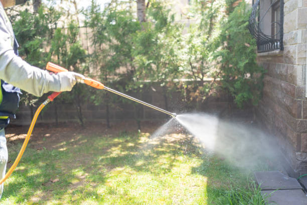 Best Insect Control  in Moundridge, KS