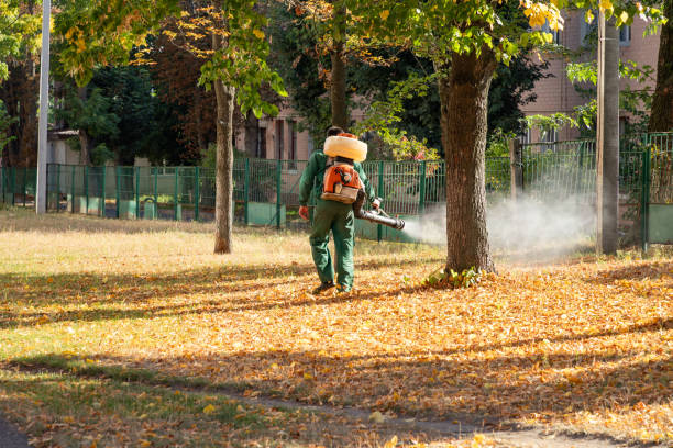 Best Bed Bug Extermination  in Moundridge, KS