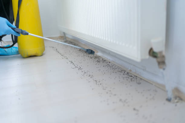 Best Pest Inspection Near Me  in Moundridge, KS