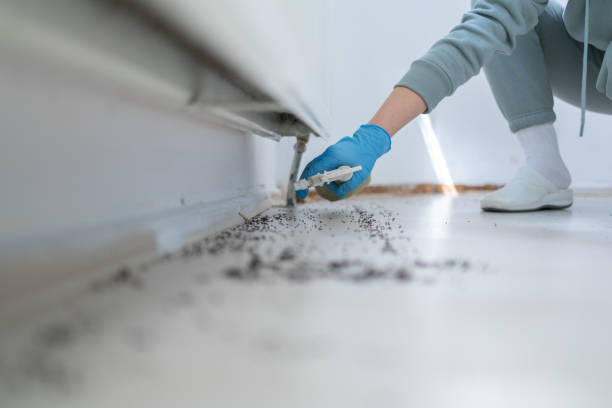 Best Flea Control Services  in Moundridge, KS