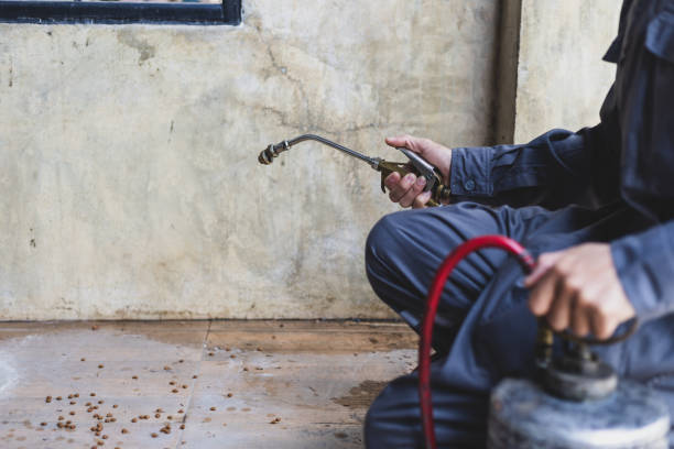 Best Pest Inspection Near Me  in Moundridge, KS