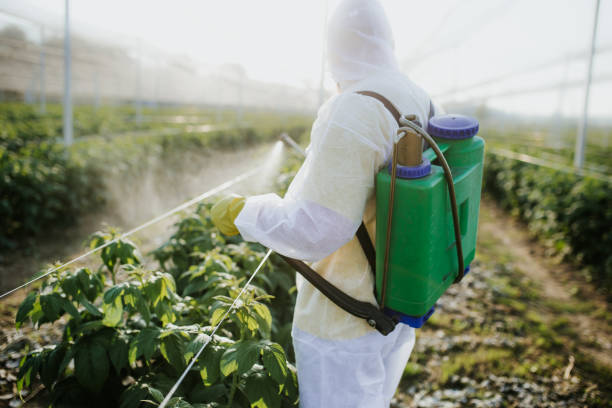 Moundridge, KS Pest Control Company